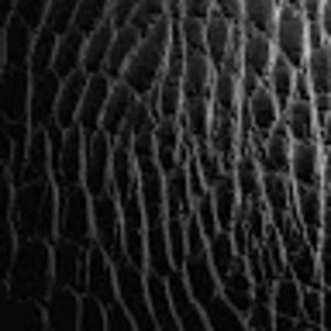 Meet your Posher, Darian